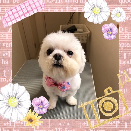 ３月２８日トリミング写真りん