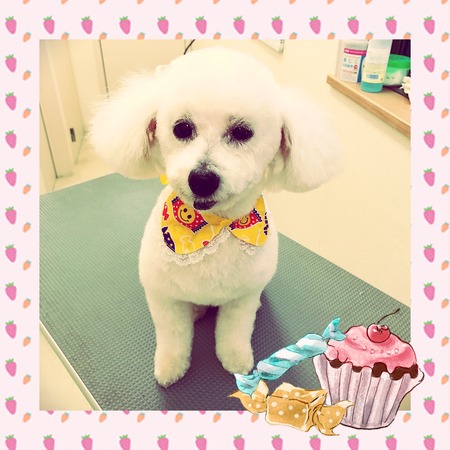 ４月１日トリミング写真ジャック