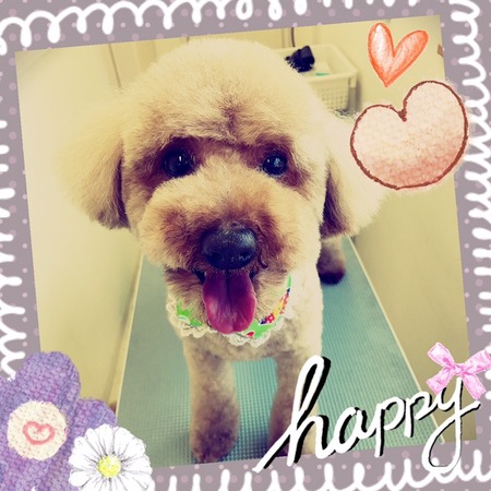 ４月４日トリミング写真ベル