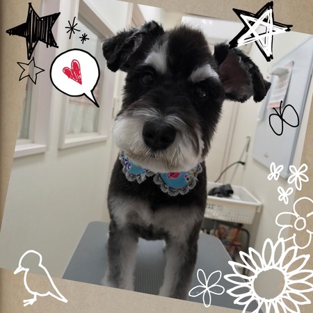 ４月５日トリミング写真ベック