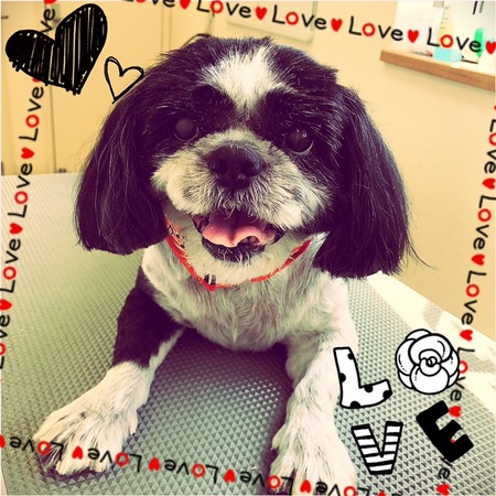 ４月１２日トリミング写真リュウ