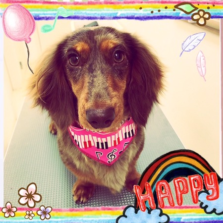 ４月１５日トリミング写真モカ