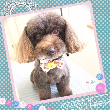 ４月１７日トリミング写真ムサシ