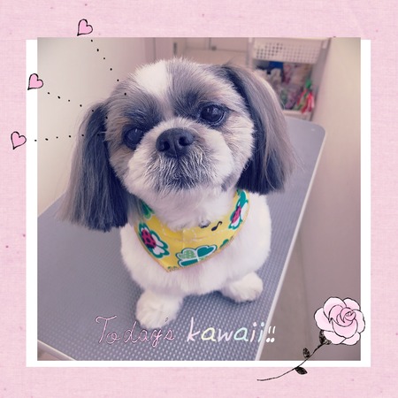 ３月２７日トリミング写真ロン