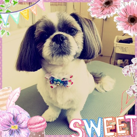 ４月２４日トリミング写真ロン