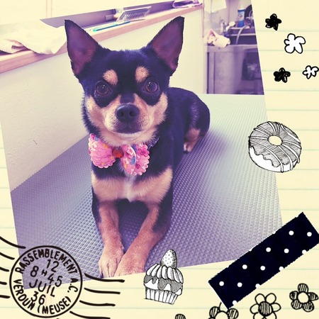 ３月２９日トリミング写真マル