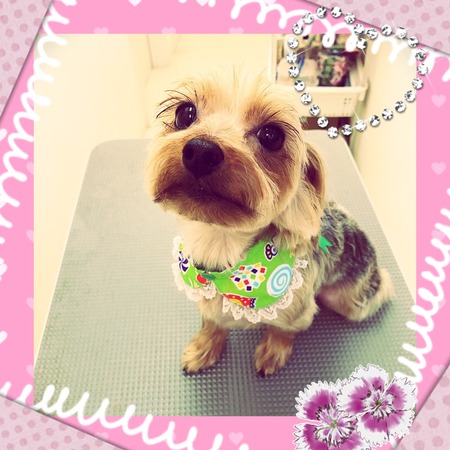 ３月２８日トリミング写真ピース