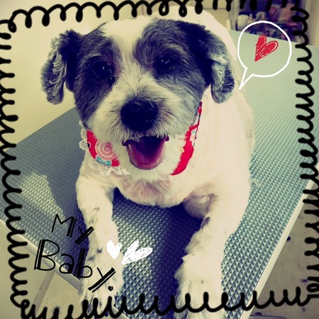 ４月３日トリミング写真めぐ