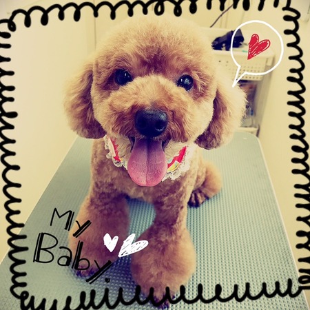 ４月８日トリミング写真ポン吉