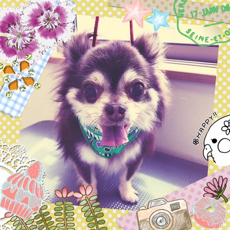 ４月１０日トリミング写真マーシャ