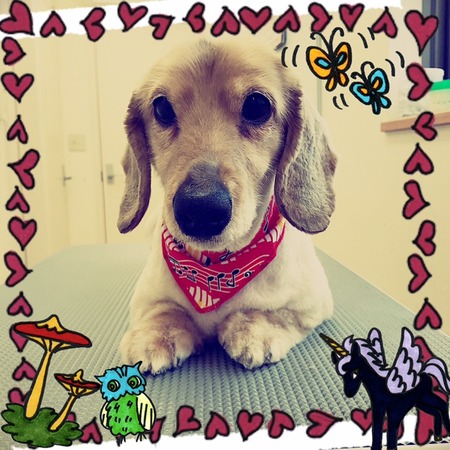 ４月１１日トリミング写真ステラ