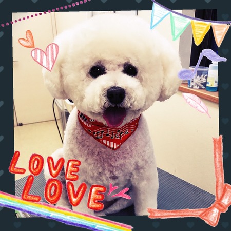 ４月１２日トリミング写真ルル