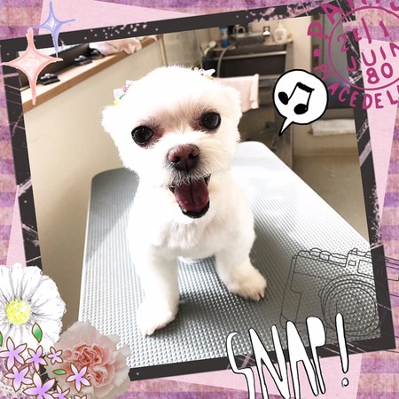 ３月２７日トリミング写真ソラ