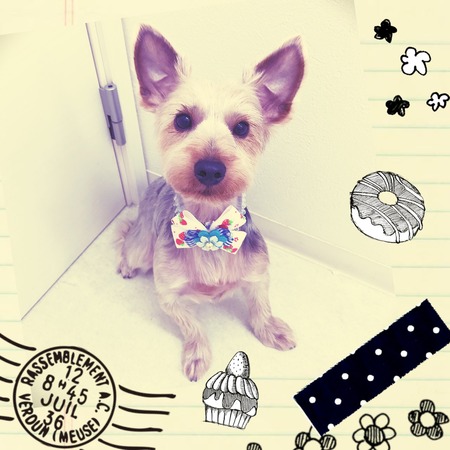 ４月２５日トリミング写真むぎ