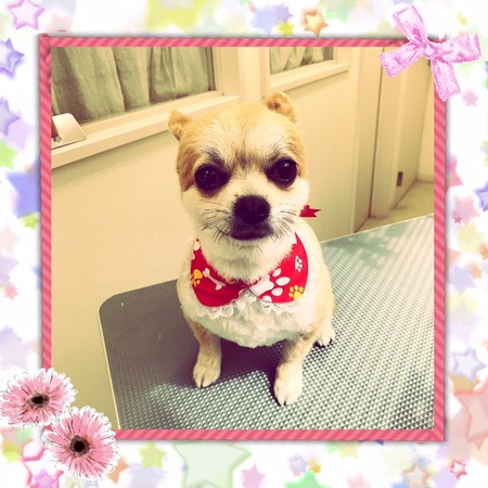 ４月２６日トリミング写真ソラ