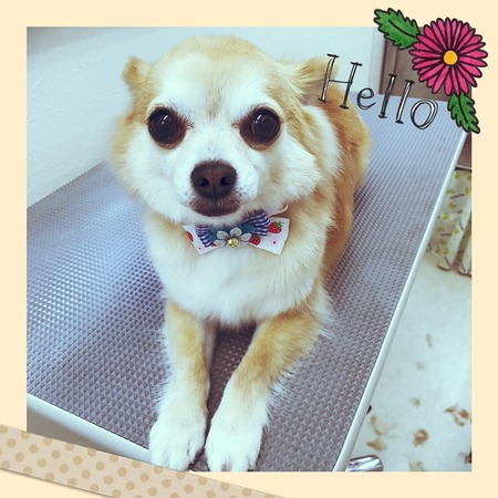 ４月２８日トリミング写真しょうた