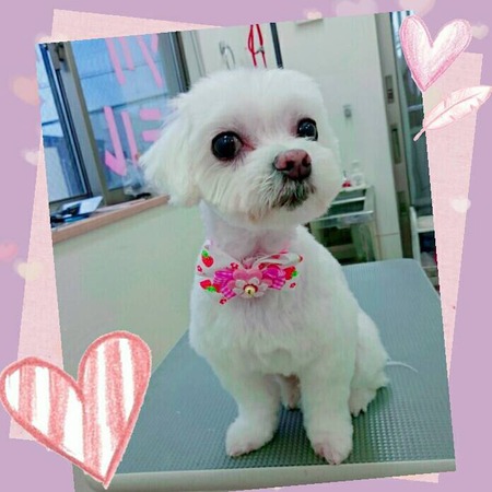 ４月２２日トリミング写真ソラ