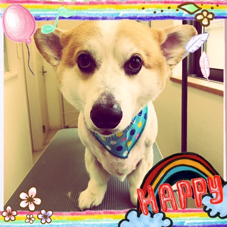 ３月３１日トリミング写真