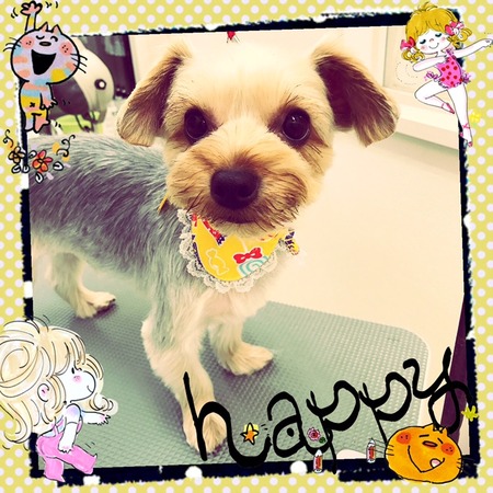 ４月５日トリミング写真ボイ