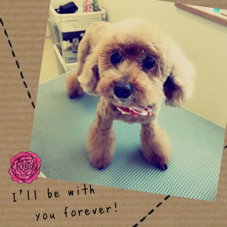 ４月１４日トリミング写真ココ