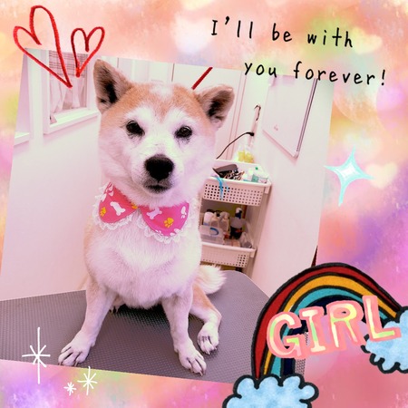 ４月２４日トリミング写真モカ