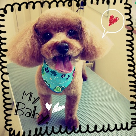 ３月２８日トリミング写真チョコ