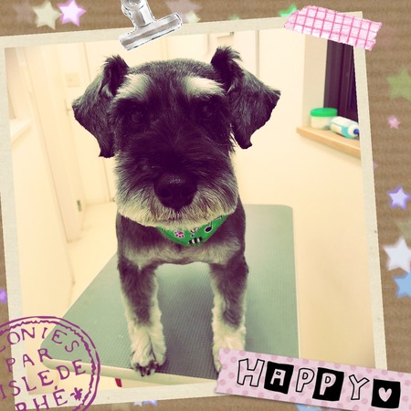 ４月１１日トリミング写真ﾎｯﾌﾟ