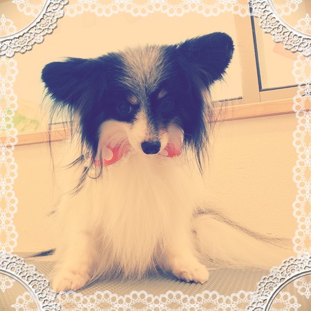 ４月２８日トリミング写真リック