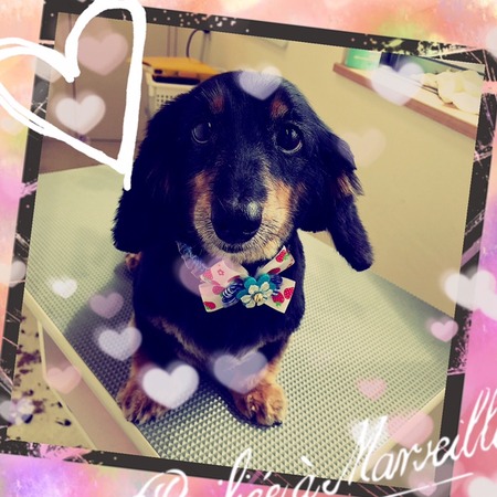 ４月２１日トリミング写真ユウ