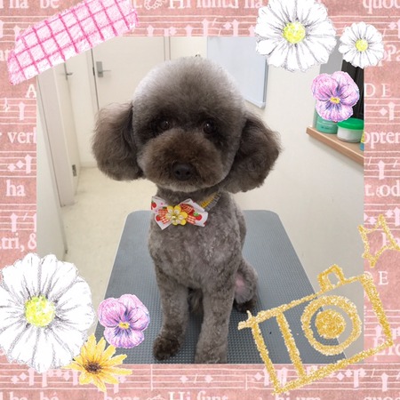 ４月２１日トリミング写真小豆