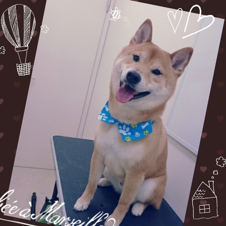 ４月２９日トリミング写真ハム