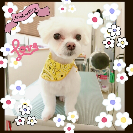 ５月２８日トリミング写真ソラ