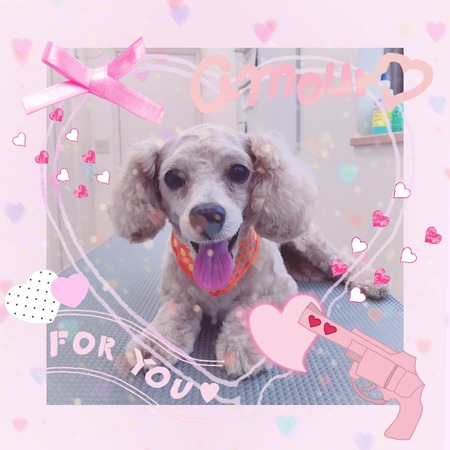 ５浮き２６日トリミング写真プー丸