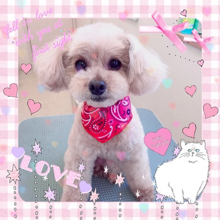 ５月２９日トリミング写真ポポロン