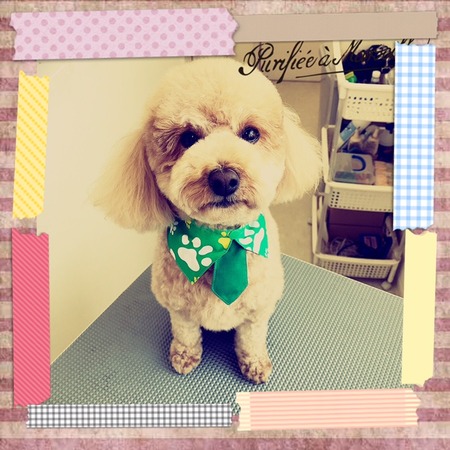 ５月１日トリミング写真マロン