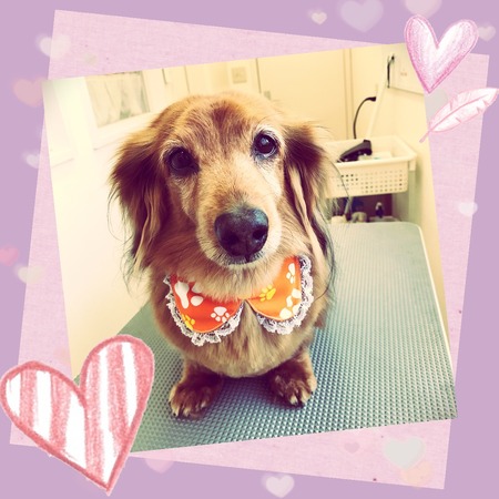 ５月２日トリミング写真ミント