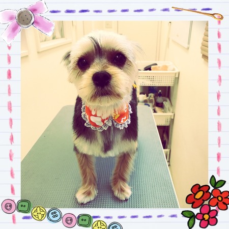 ５月８日トリミング写真ソラ