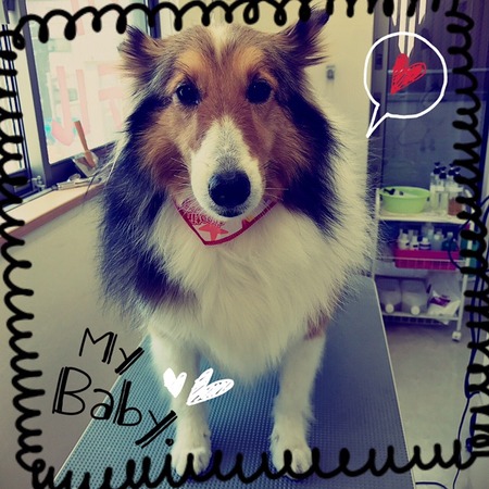 ５月１２日トリミング写真モア