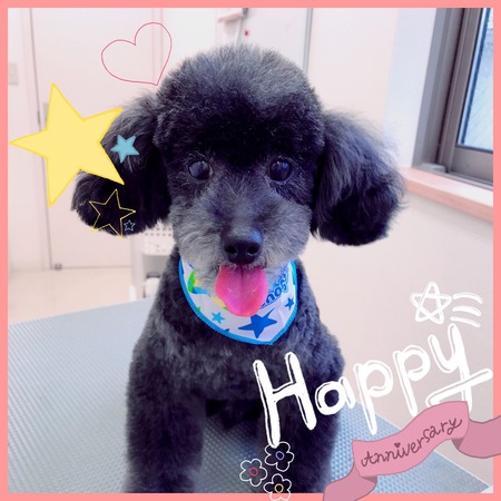 ５月１３日トリミング写真ゴウ