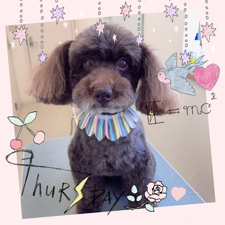 ５月１９日トリミング写真ムサシ