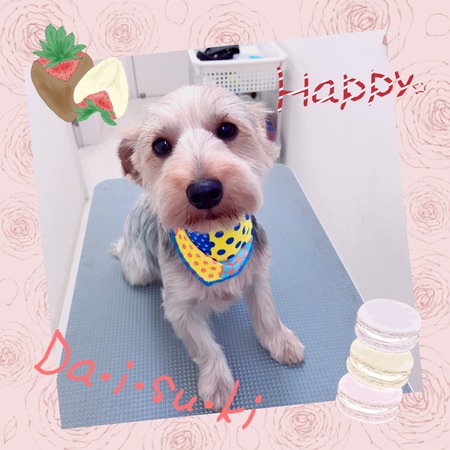 ５月２６日トリミング写真むぎ