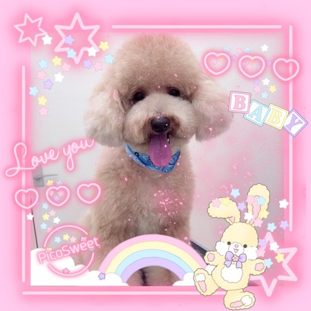 ５月２７日トリミング写真茶太丸