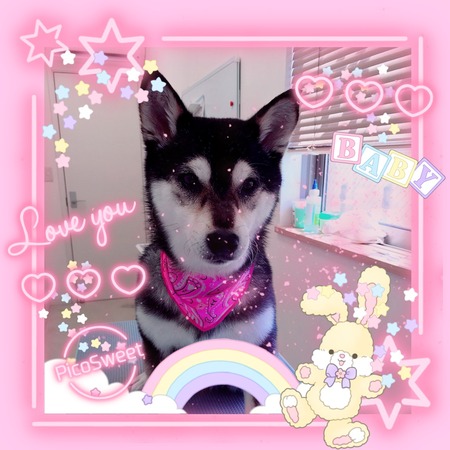 ５月２９日トリミング写真小夏