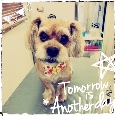 ４月２９日トリミング写真れおん