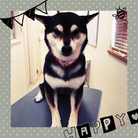 ５月８日トリミング写真小夏