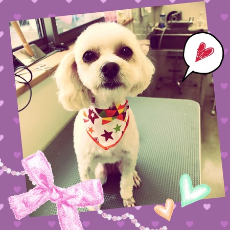 ５月１２日トリミング写真姫