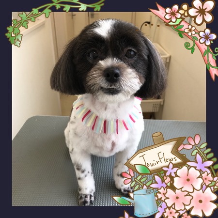 ５月１６日トリミング写真もも