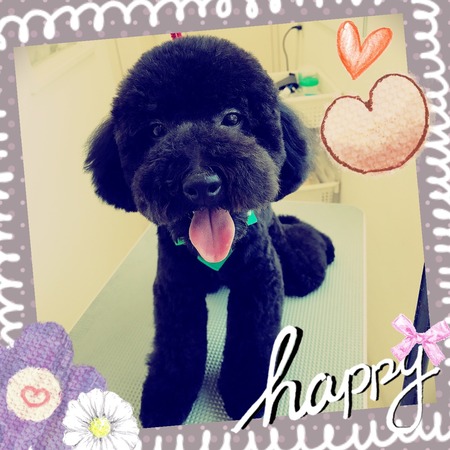 ５月５日トリミング写真ジェット