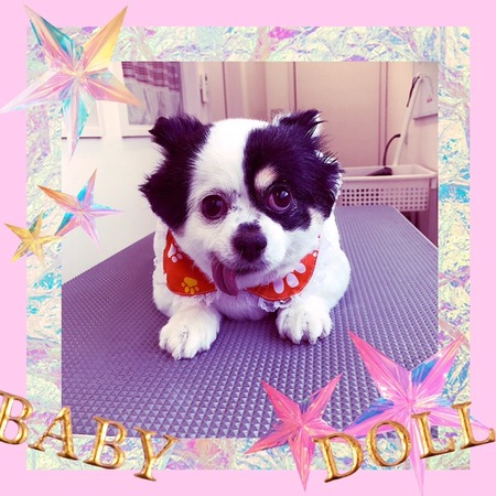 ５月３日トリミング写真ちょこら