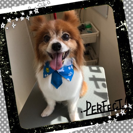 ５月３日トリミング写真ハル